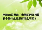 电脑sn码是啥（电脑的PNSN编码个是什么意思有什么不同）