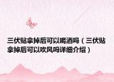 三伏贴拿掉后可以喝酒吗（三伏贴拿掉后可以吹风吗详细介绍）