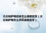 大众帕萨特应该怎么连接蓝牙（大众帕萨特怎么手机连接蓝牙）
