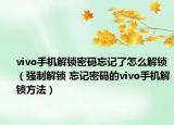 vivo手机解锁密码忘记了怎么解锁（强制解锁 忘记密码的vivo手机解锁方法）