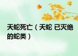 天蛇死亡（天蛇 已灭绝的蛇类）