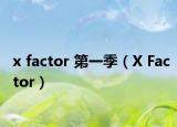 x factor 第一季（X Factor）