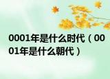 0001年是什么时代（0001年是什么朝代）