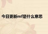 今日更新mf是什么意思
