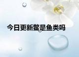 今日更新鳖是鱼类吗