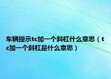 车辆提示tc加一个斜杠什么意思（tc加一个斜杠是什么意思）