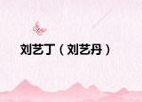 刘艺丁（刘艺丹）