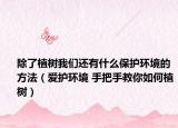 除了植树我们还有什么保护环境的方法（爱护环境 手把手教你如何植树）