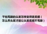 干枯毛躁的头发怎样变得更柔顺（怎么养头发才能让头发柔顺不毛躁）