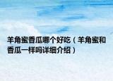 羊角蜜香瓜哪个好吃（羊角蜜和香瓜一样吗详细介绍）