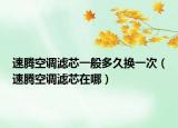 速腾空调滤芯一般多久换一次（速腾空调滤芯在哪）