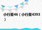 小行星46（小行星4393）