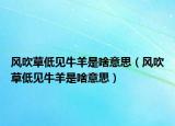 风吹草低见牛羊是啥意思（风吹草低见牛羊是啥意思）
