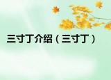 三寸丁介绍（三寸丁）