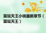 篮坛天王小说最新章节（篮坛天王）