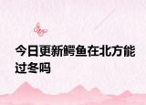 今日更新鳄鱼在北方能过冬吗