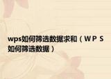 wps如何筛选数据求和（ＷＰＳ如何筛选数据）