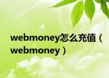 webmoney怎么充值（webmoney）