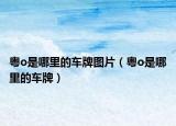 粤o是哪里的车牌图片（粤o是哪里的车牌）