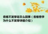 香椿不发芽是怎么回事（香椿春季为什么不发芽详细介绍）