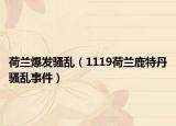 荷兰爆发骚乱（1119荷兰鹿特丹骚乱事件）