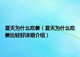 夏天为什么吃姜（夏天为什么吃姜比较好详细介绍）