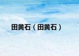 田黄石（田黄石）