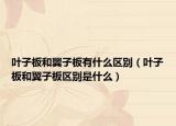 叶子板和翼子板有什么区别（叶子板和翼子板区别是什么）
