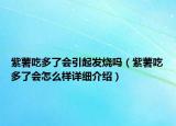 紫薯吃多了会引起发烧吗（紫薯吃多了会怎么样详细介绍）