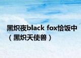 黑炽夜black fox恰饭中（黑炽天使兽）
