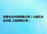羽翎文化传媒有限公司（七翎石文化传媒 上海有限公司）