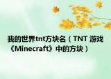 我的世界tnt方块名（TNT 游戏《Minecraft》中的方块）