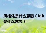 风格化是什么意思（fgh是什么意思）