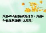 汽油48v轻混系统是什么（汽油48v轻混系统是什么意思）