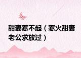 甜妻惹不起（惹火甜妻老公求放过）