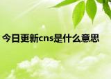 今日更新cns是什么意思