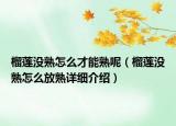 榴莲没熟怎么才能熟呢（榴莲没熟怎么放熟详细介绍）