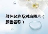 颜色名称及对应图片（颜色名称）
