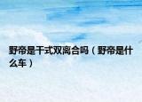 野帝是干式双离合吗（野帝是什么车）
