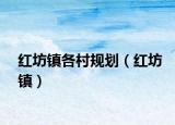 红坊镇各村规划（红坊镇）