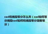 cad将线段等分怎么弄（cad如何等分线段cad如何将线段等分定数等分）