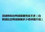 羽绒棉和白鸭绒保暖性差不多（白鹅绒比白鸭绒保暖多少倍详细介绍）