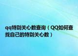qq特别关心数查询（QQ如何查找自己的特别关心数）