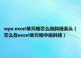 wps excel单元格怎么画斜线表头（怎么在excel单元格中画斜线）