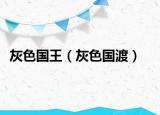 灰色国王（灰色国渡）