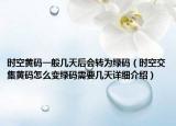 时空黄码一般几天后会转为绿码（时空交集黄码怎么变绿码需要几天详细介绍）