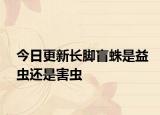 今日更新长脚盲蛛是益虫还是害虫