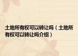 土地所有权可以转让吗（土地所有权可以转让吗介绍）