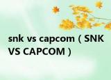 snk vs capcom（SNK VS CAPCOM）