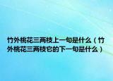 竹外桃花三两枝上一句是什么（竹外桃花三两枝它的下一句是什么）